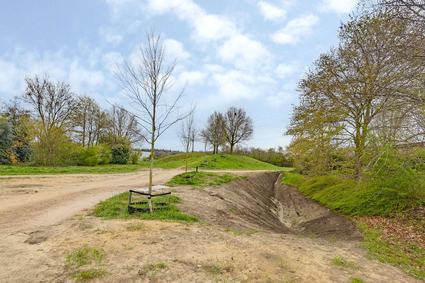 Photo 44 of Zilverschoon 14