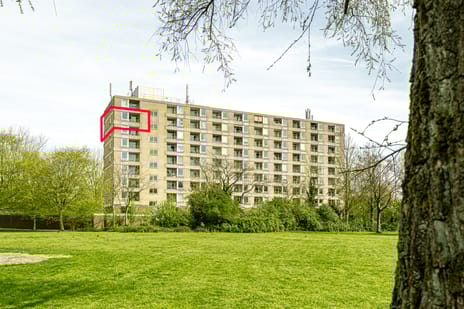 Trekvogelweg thumbnail