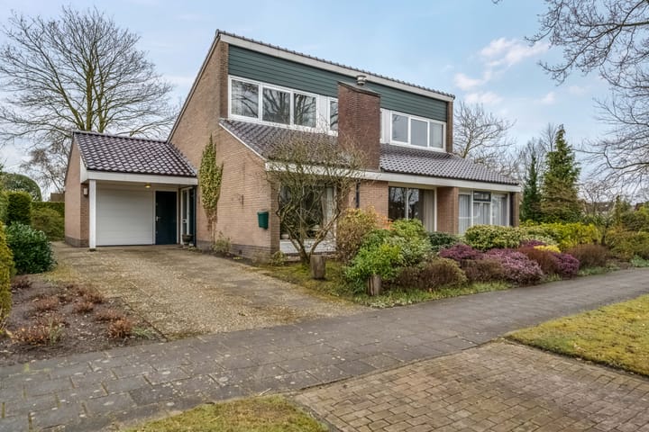 Camphuysen 1