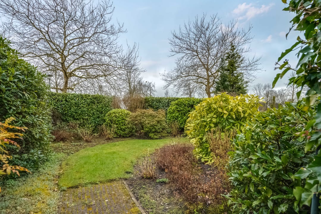 Foto 52 van Camphuysen 1