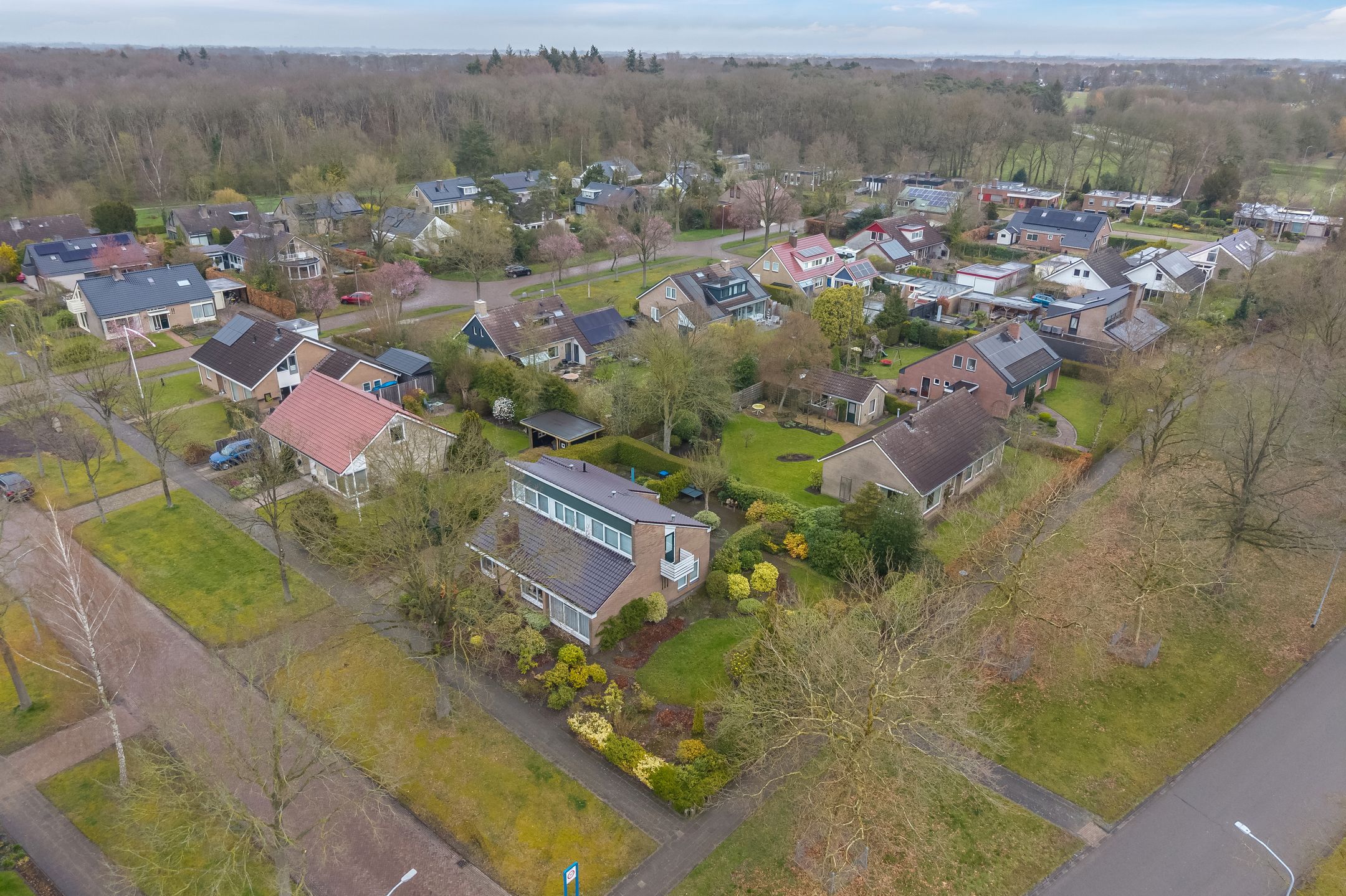 Foto 3 van Camphuysen 1