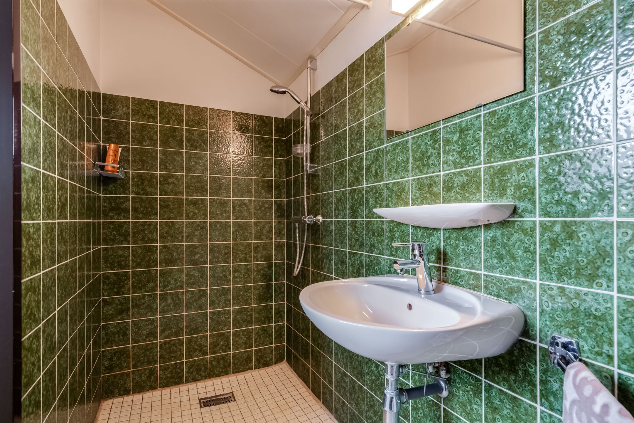 Foto 45 van Camphuysen 1