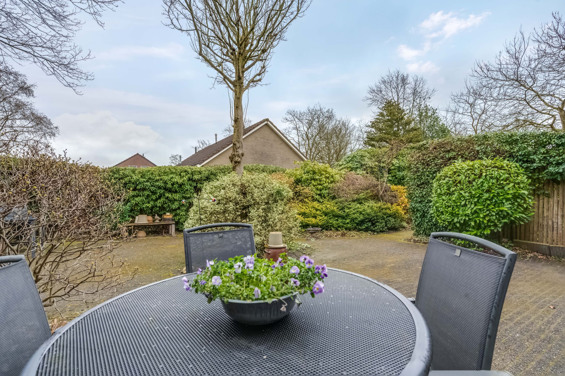 Foto 51 van Camphuysen 1