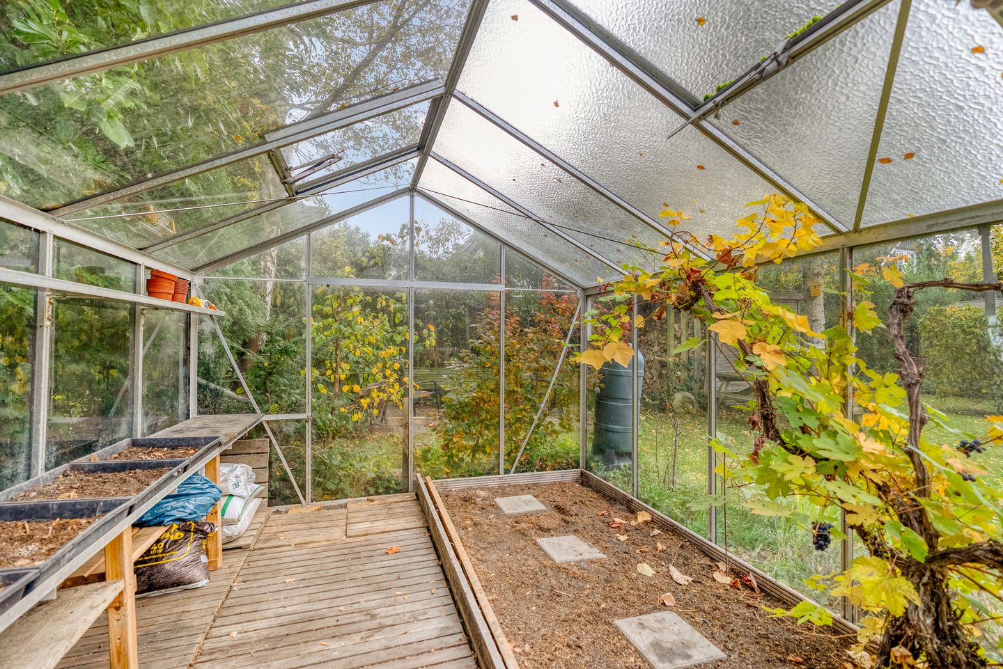 Foto 79 van Henry Moorestraat 76