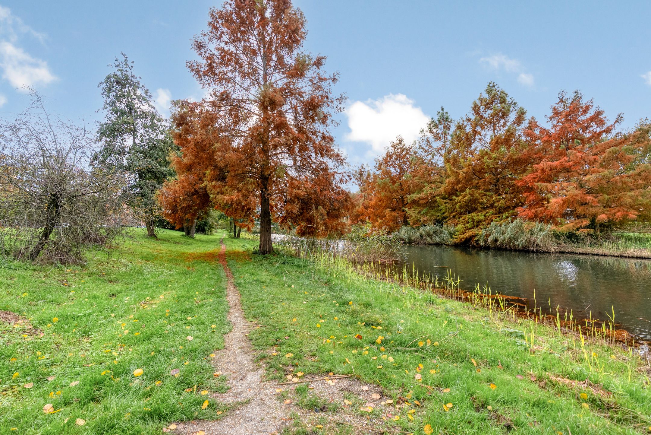 Foto 84 van Henry Moorestraat 76