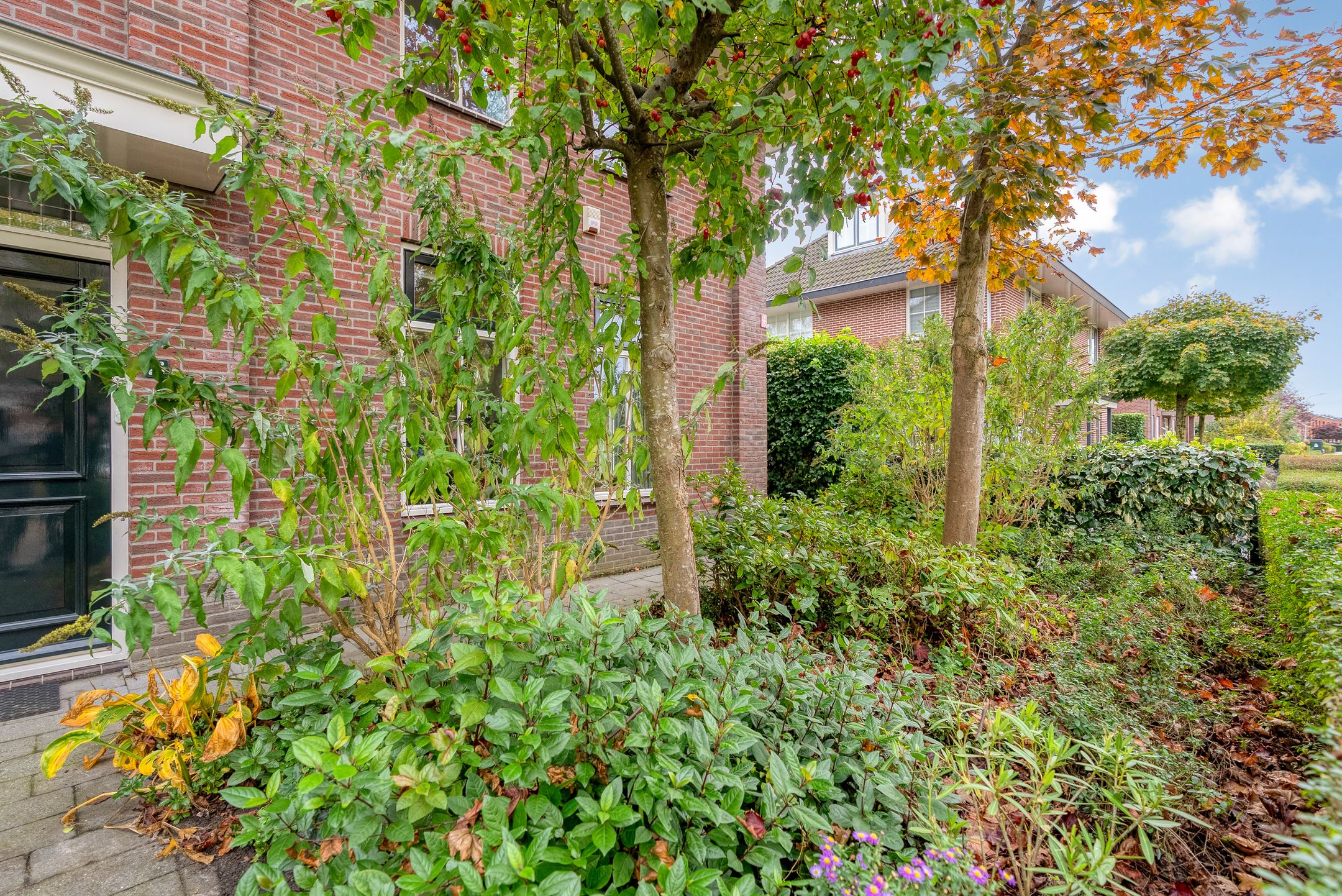 Foto 90 van Henry Moorestraat 76