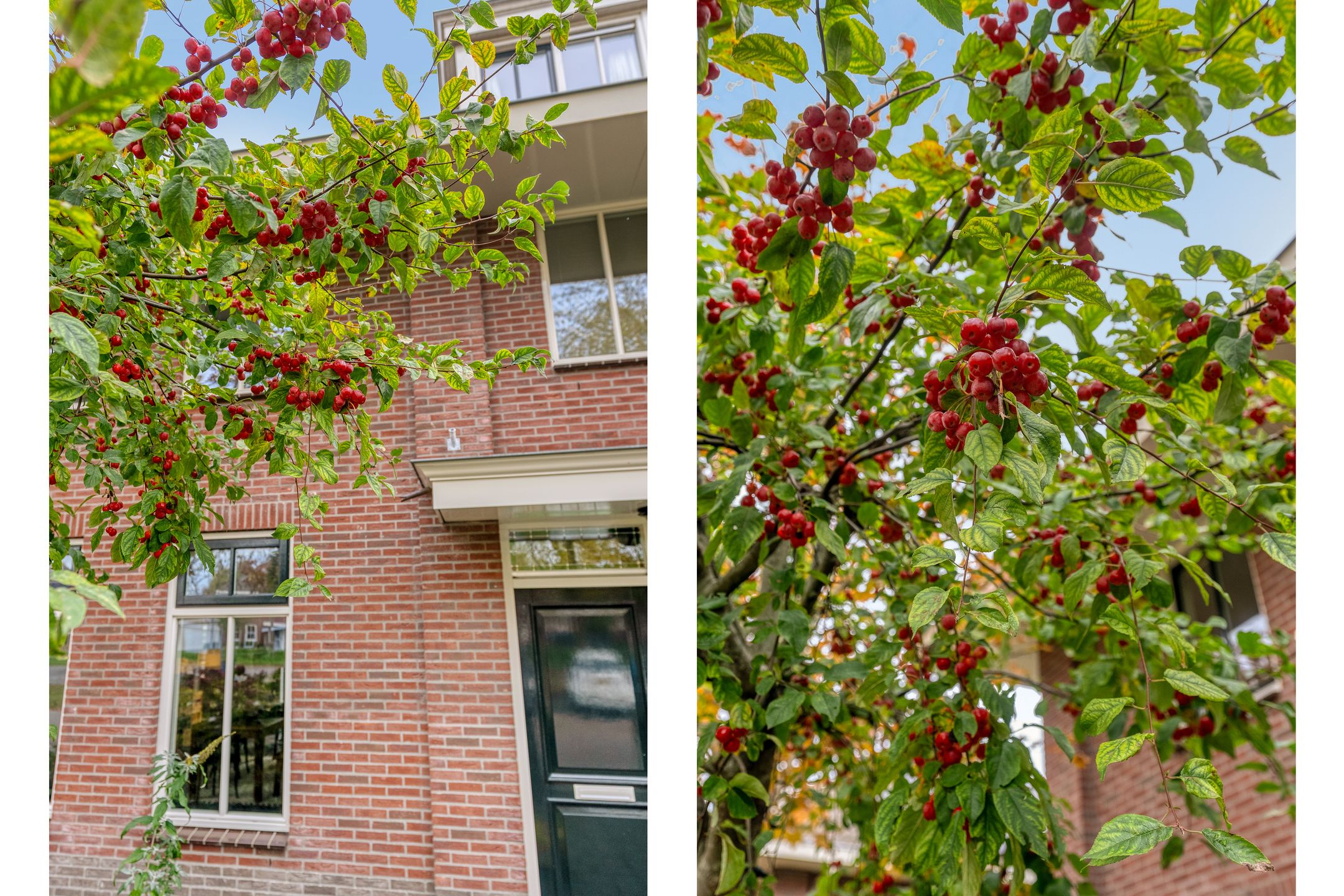 Foto 99 van Henry Moorestraat 76