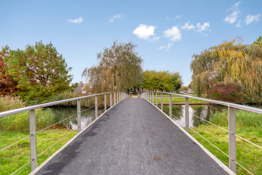 Foto 101 van Henry Moorestraat 76