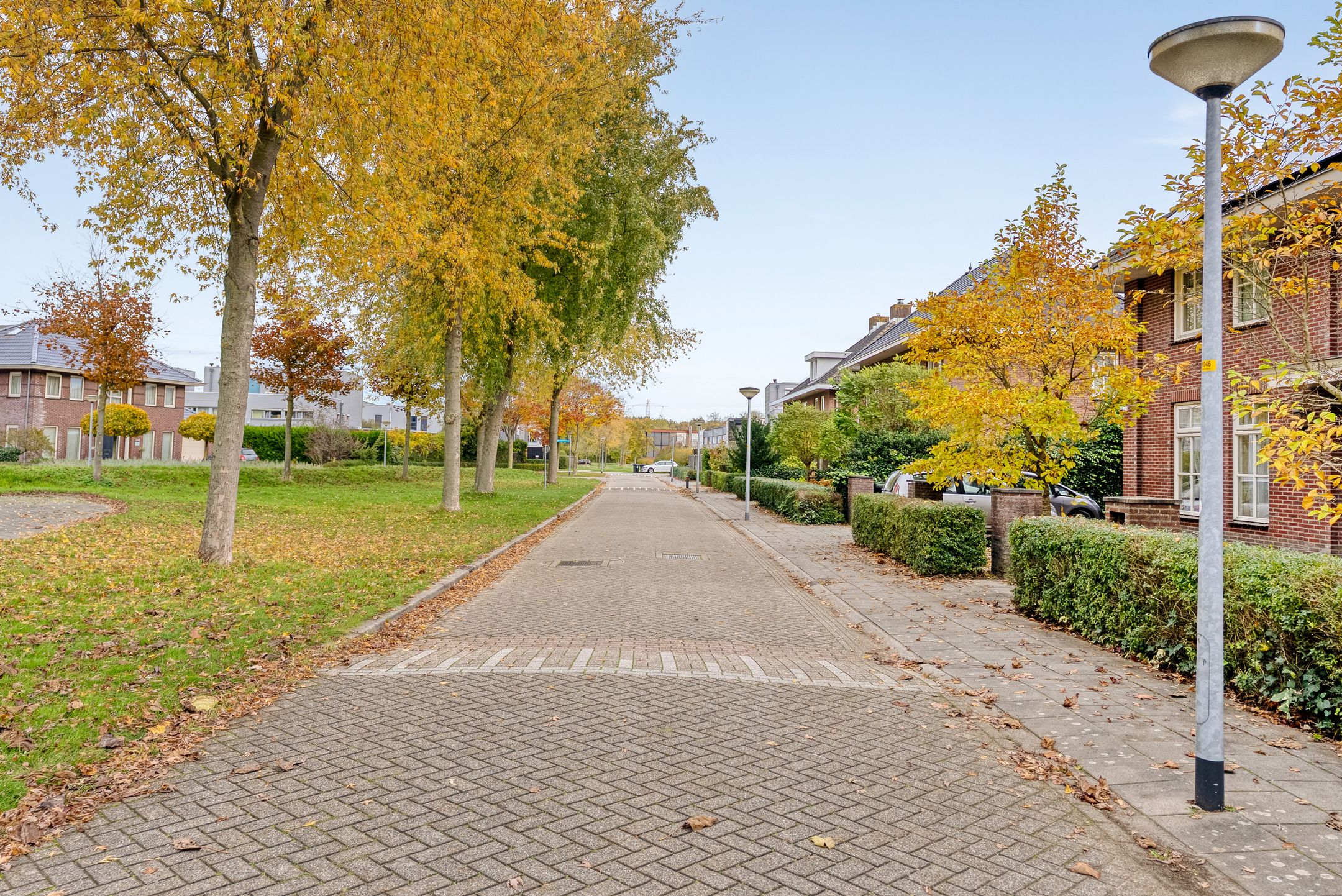 Foto 105 van Henry Moorestraat 76