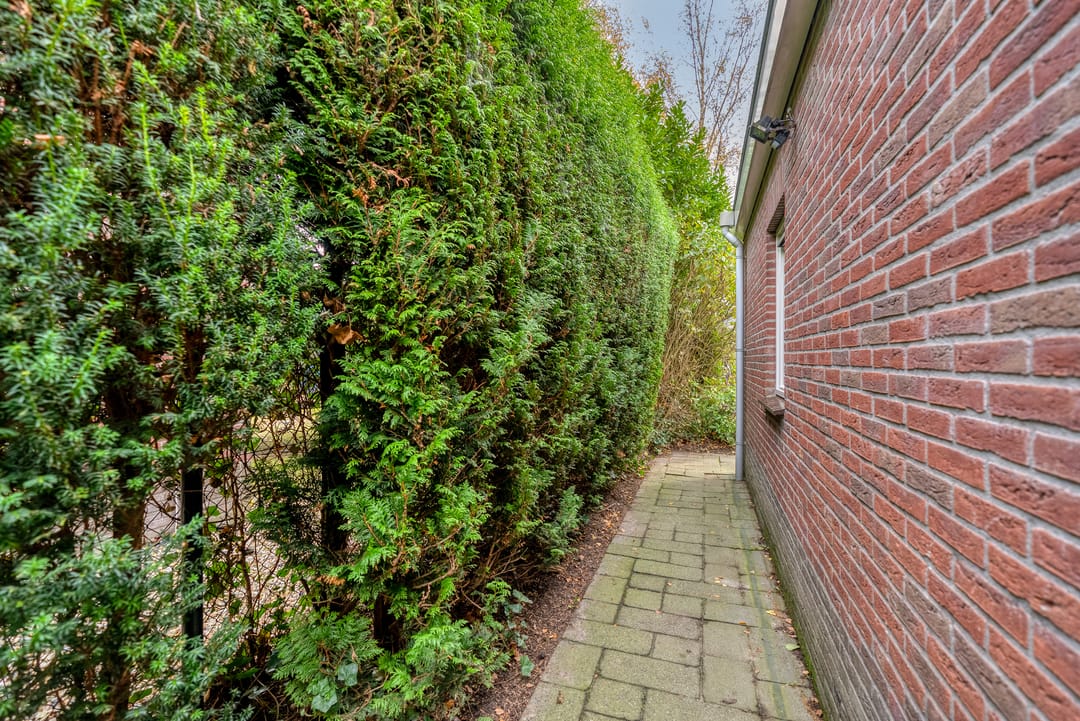 Foto 106 van Henry Moorestraat 76