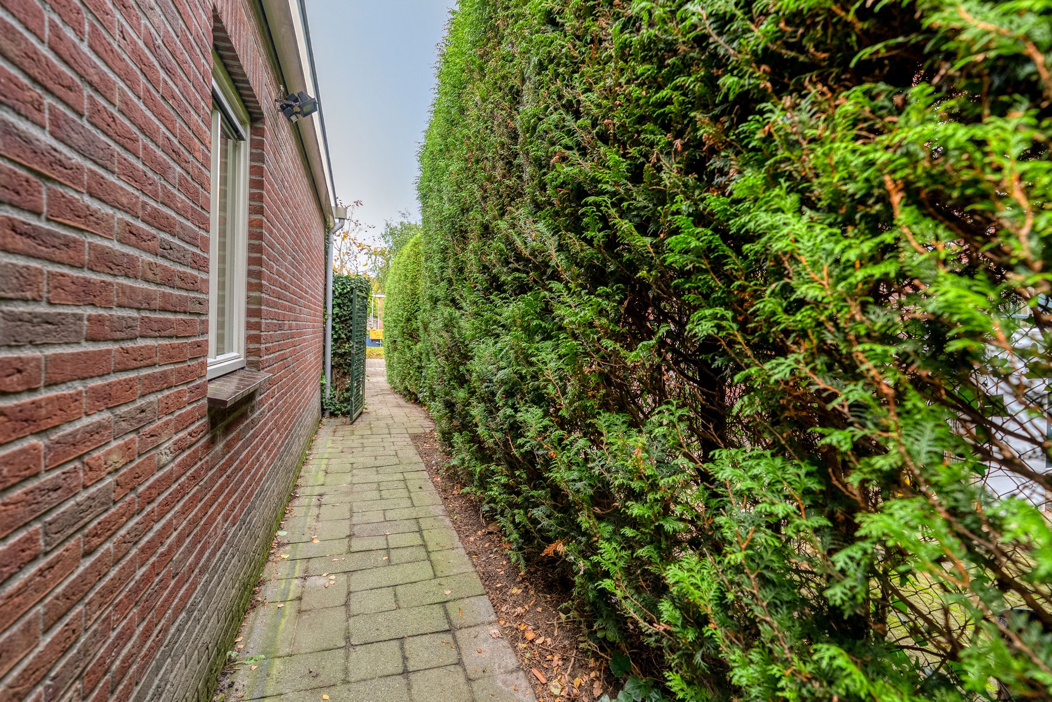 Foto 93 van Henry Moorestraat 76