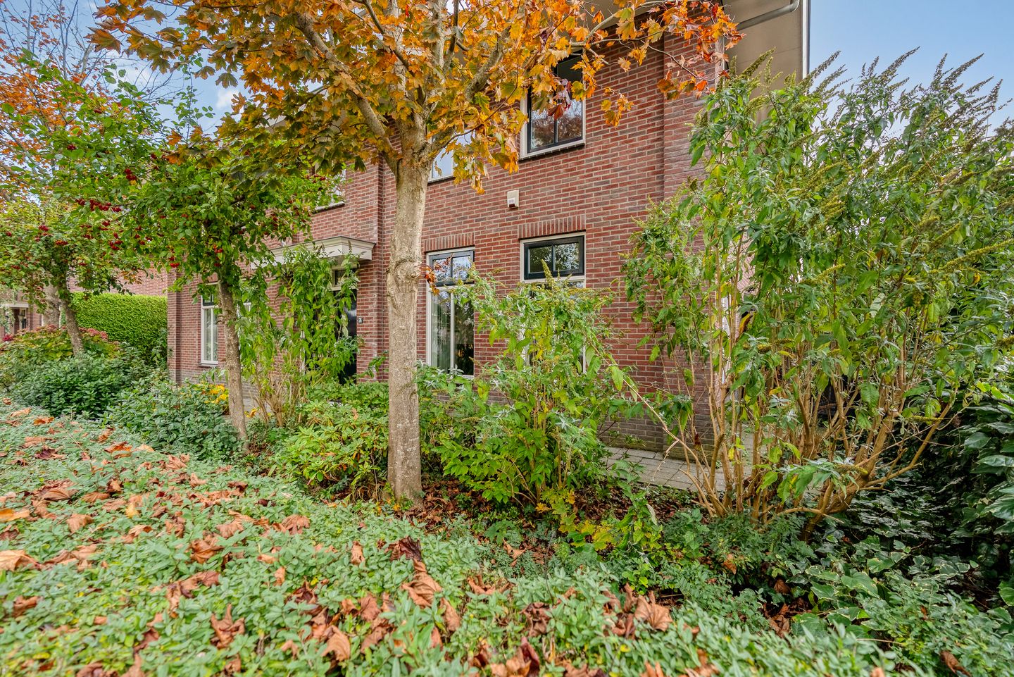 Foto 95 van Henry Moorestraat 76