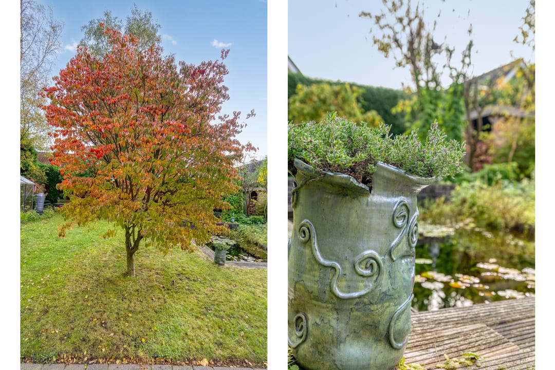 Foto 61 van Henry Moorestraat 76