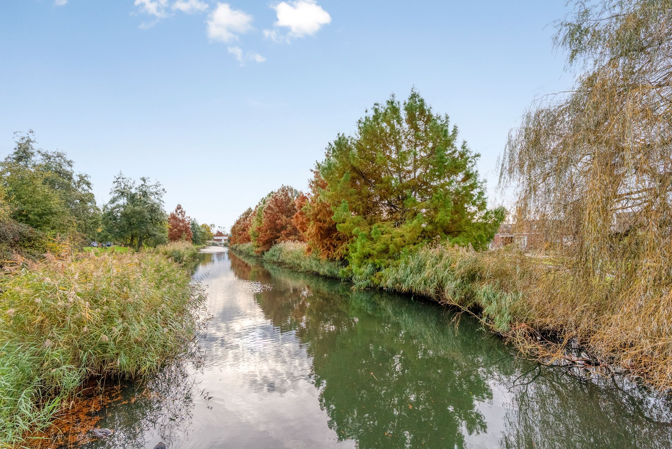 Foto 102 van Henry Moorestraat 76