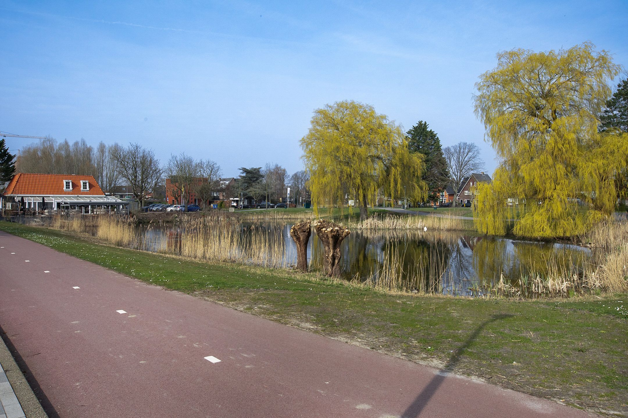 Foto 33 van Mies van der Rohestraat 19