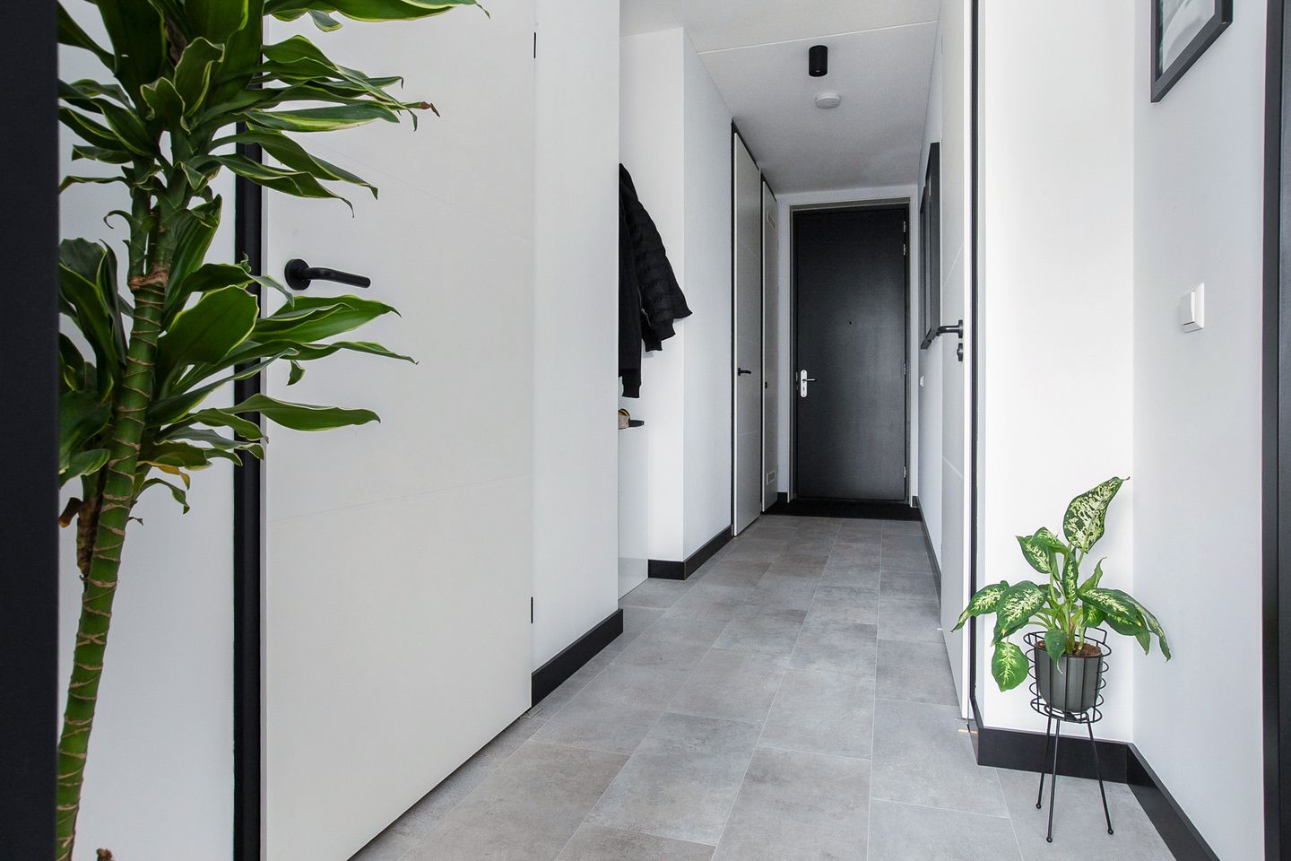 Foto 19 van Mies van der Rohestraat 19