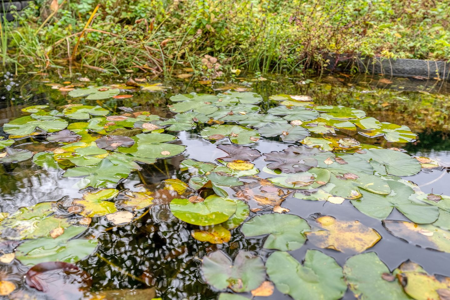 Foto 70 van Henry Moorestraat 76