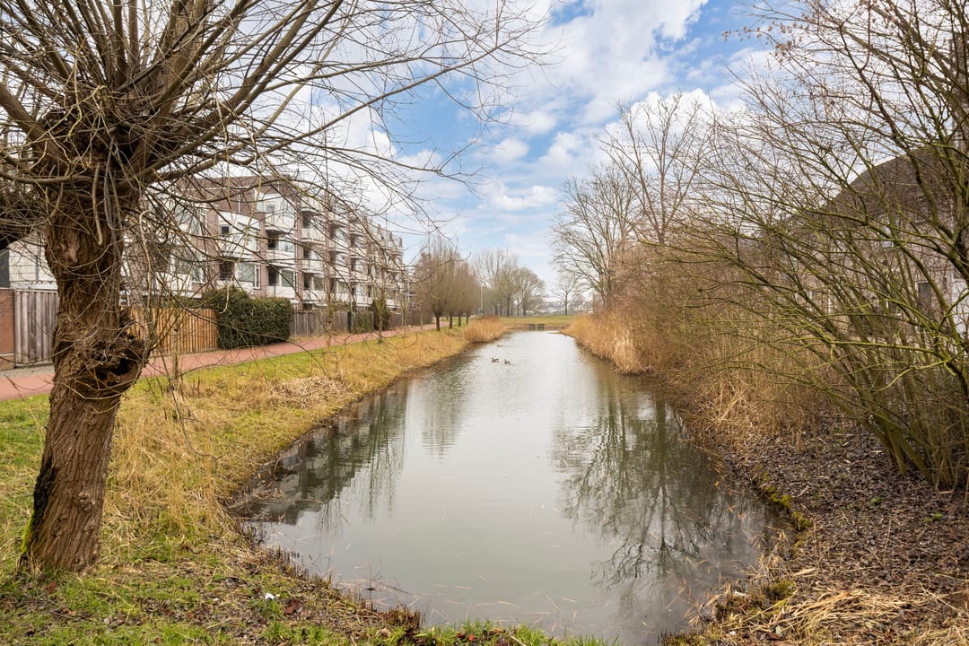 Foto 41 van Hoedekenskerkestraat 50