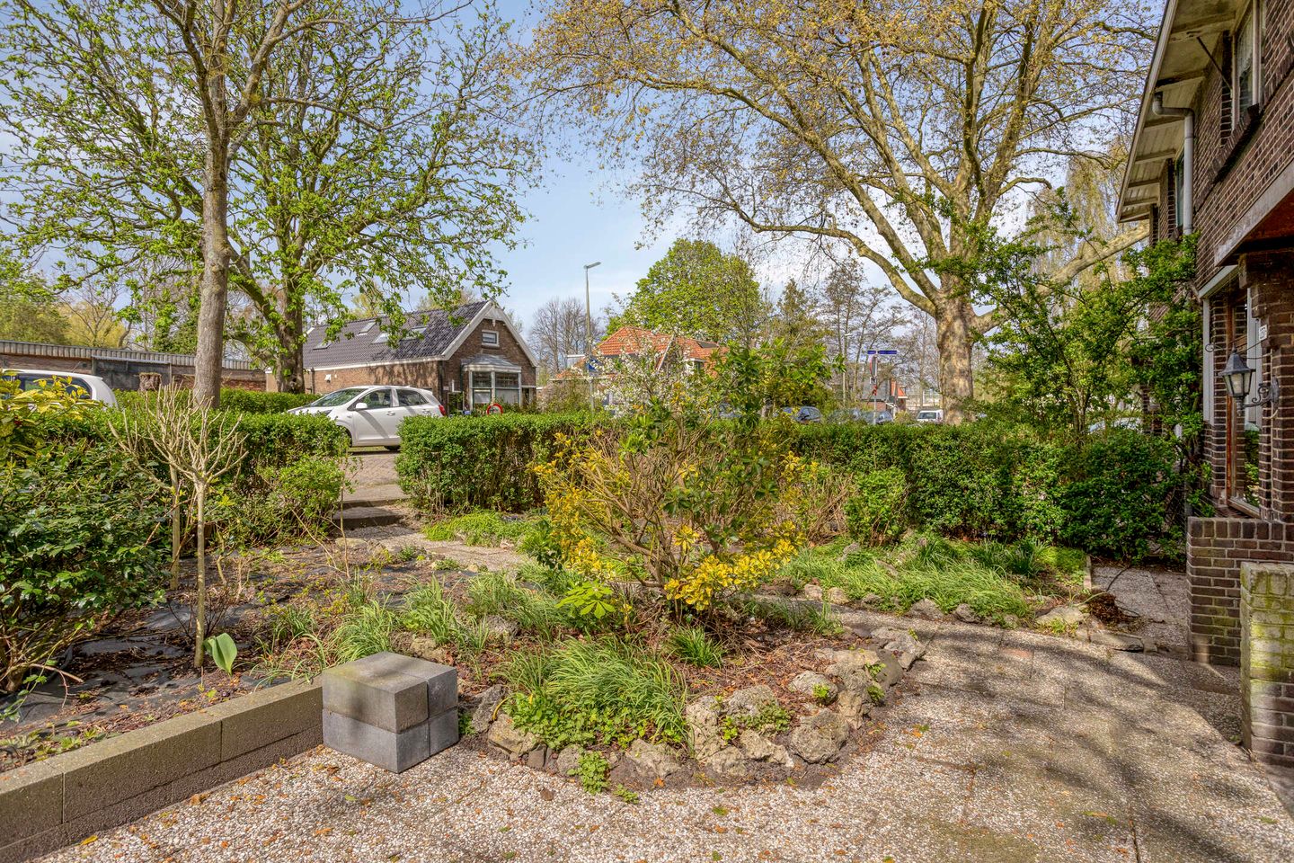 Foto 5 van Schiedamseweg 237