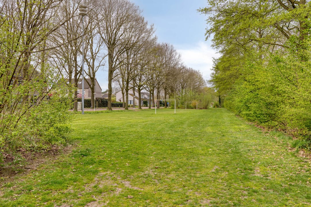 Foto 31 van Rendierhei 95