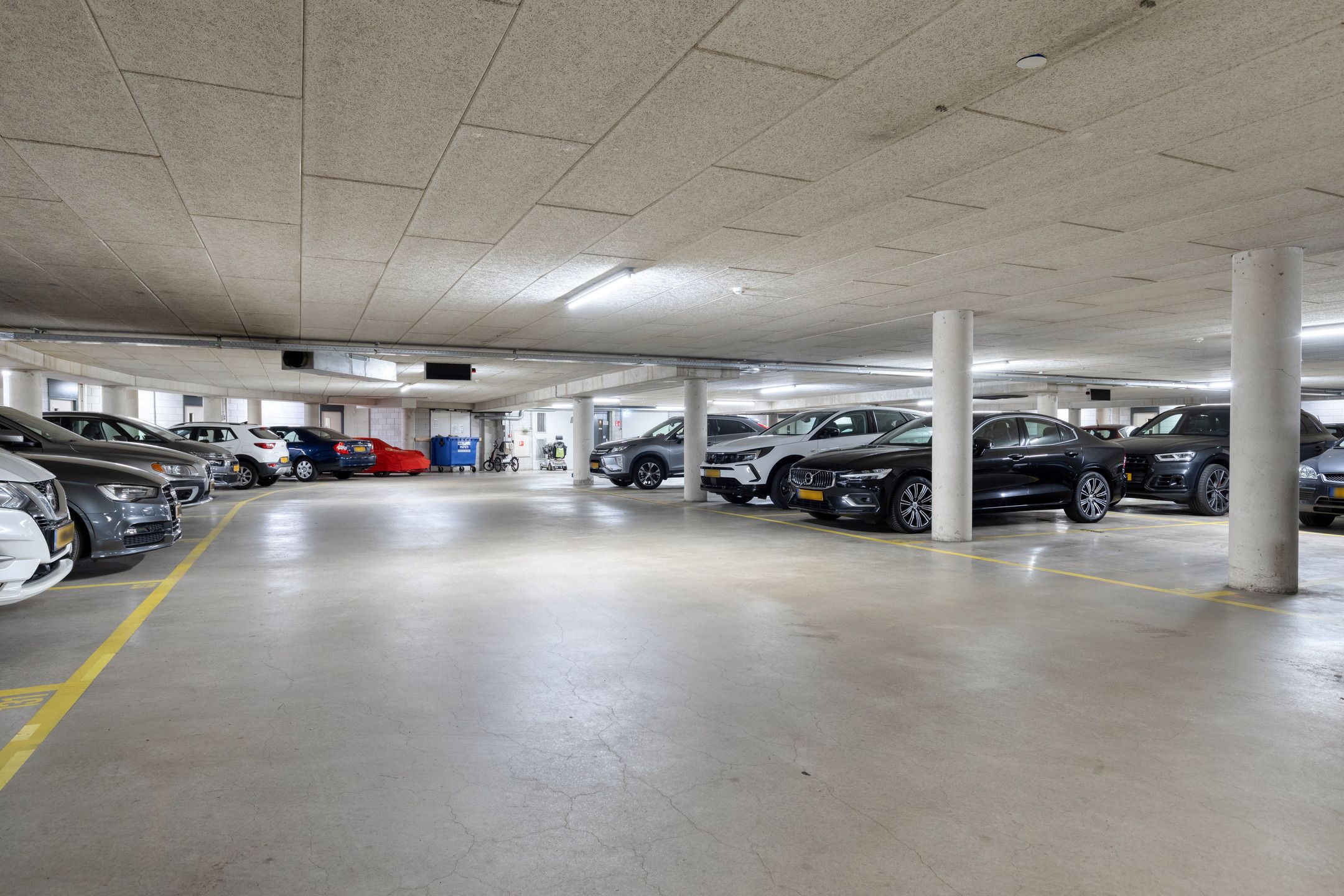 Foto 27 van Rendierhei 95