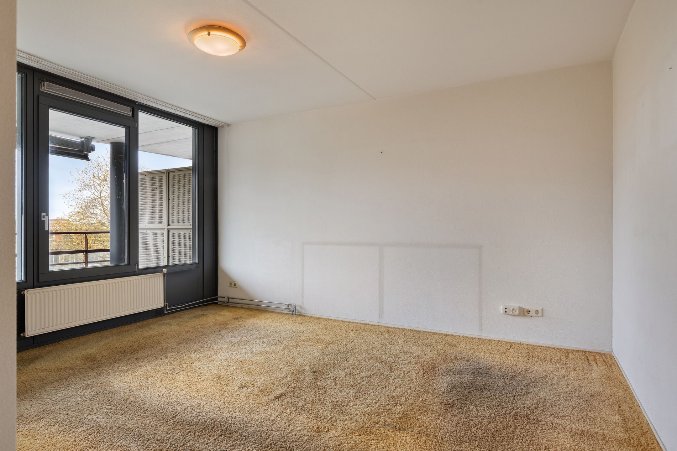 Foto 21 van Rendierhei 95