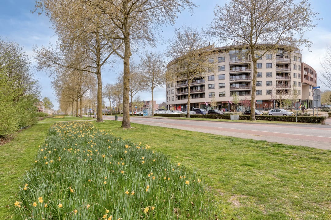 Foto 2 van Rendierhei 95