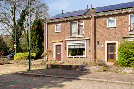 undefined main image