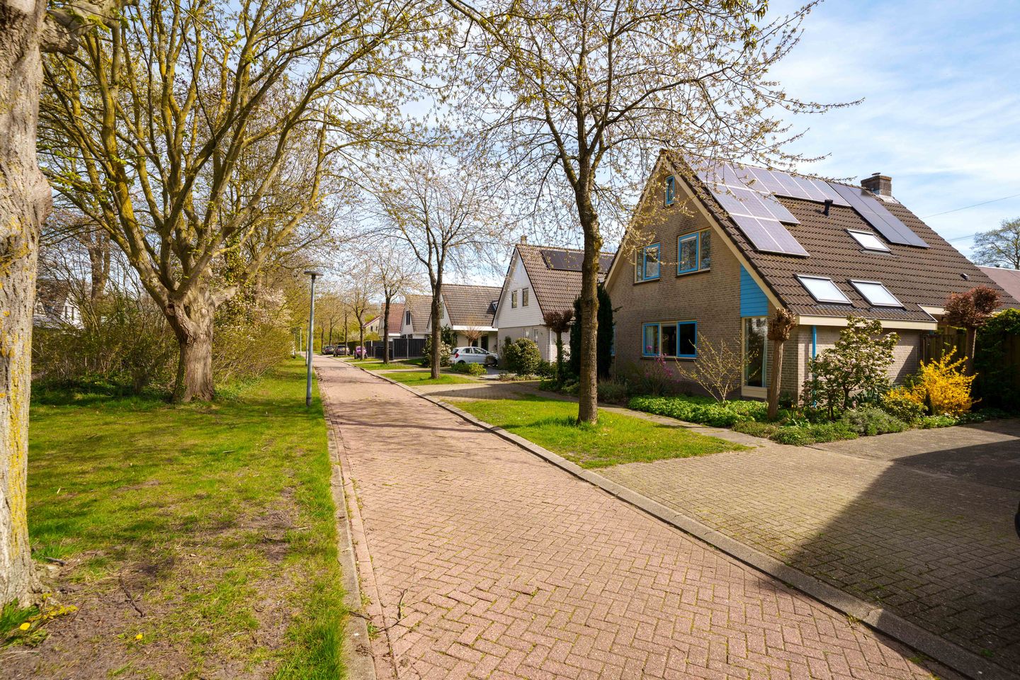 Photo 49 of Jean Gabinplantsoen 11