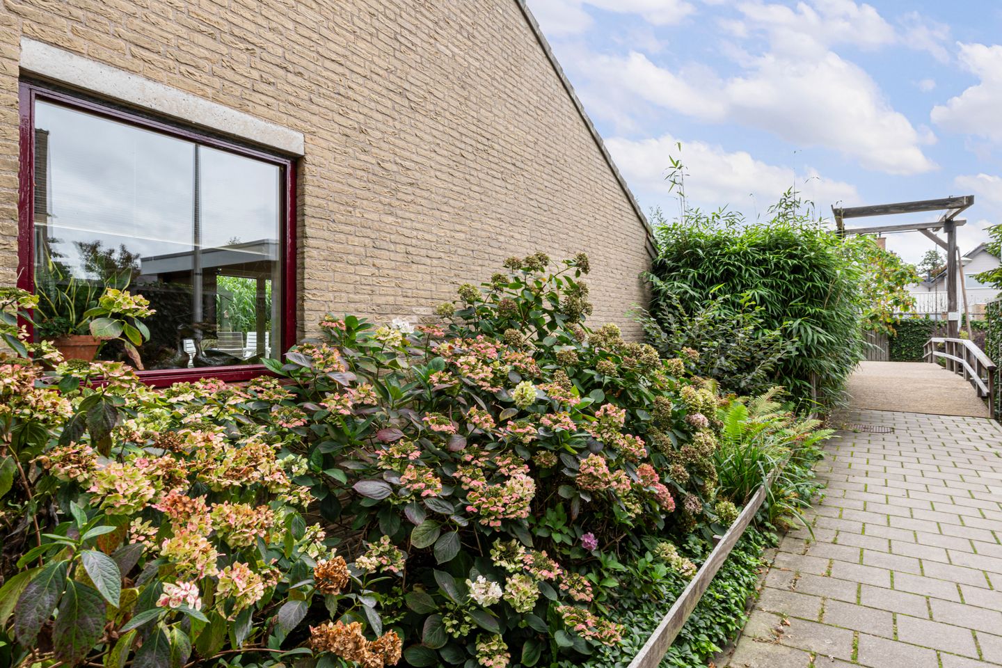 Photo 64 of Kalmoes 12