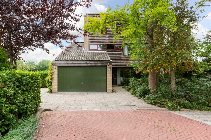 Foto 2 van Kalmoes 12