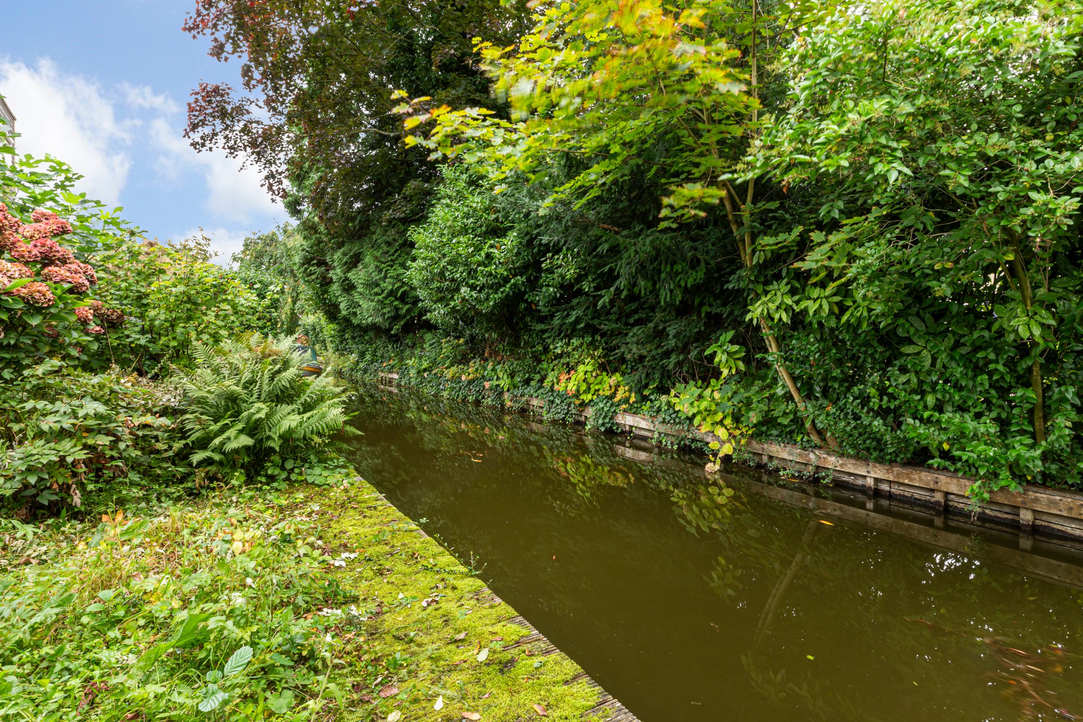 Photo 33 of Kalmoes 12