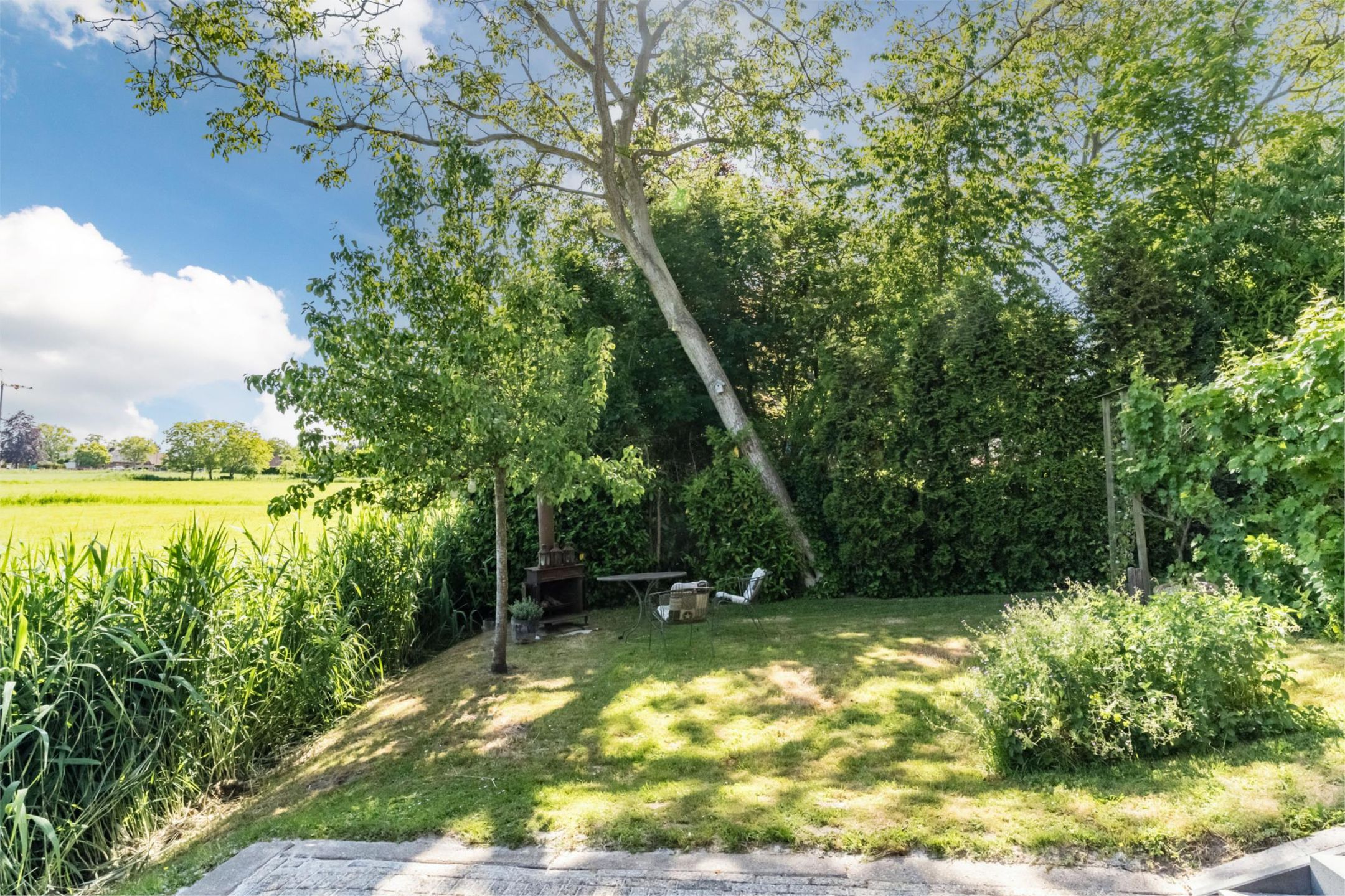 Foto 36 van Maasdijk 409