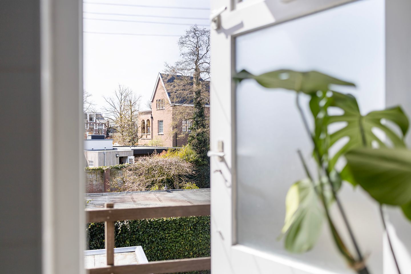 Foto 35 van Willemstraat 9