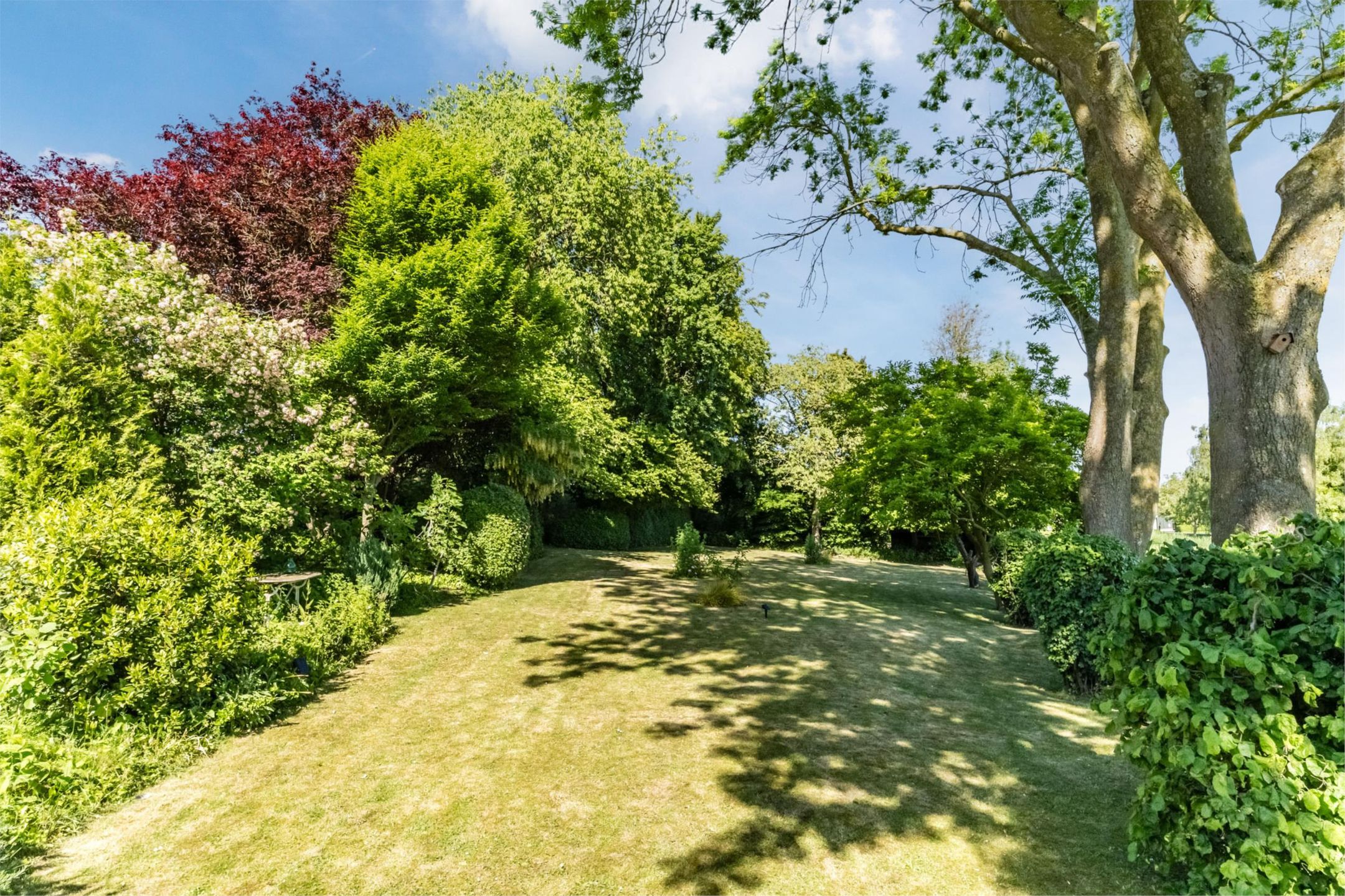 Foto 39 van Maasdijk 409