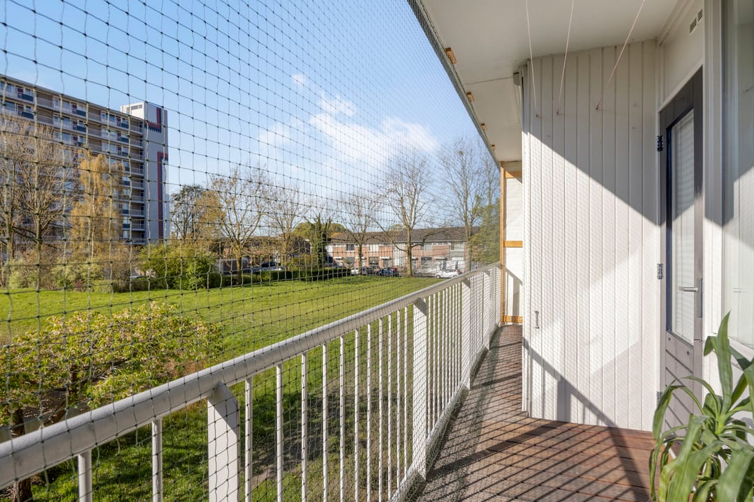 Foto 37 van Antwerpenstraat 444