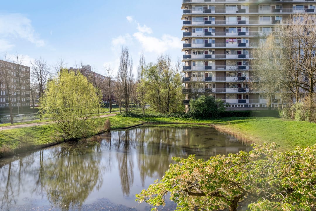 Foto 38 van Antwerpenstraat 444