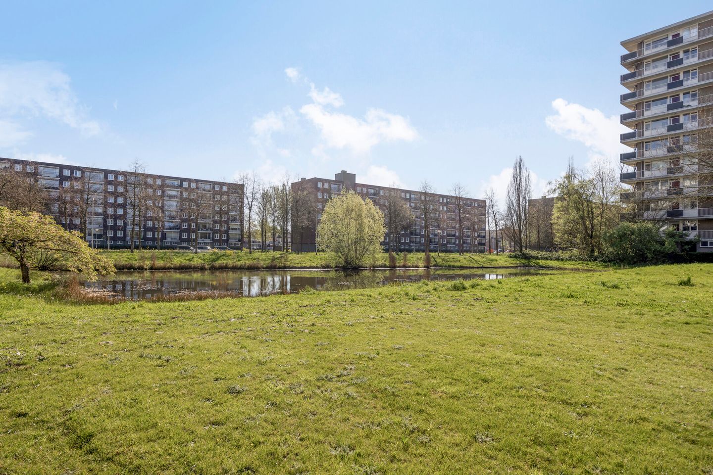 Foto 40 van Antwerpenstraat 444