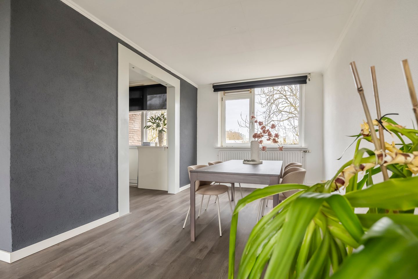 Foto 10 van Chirurgijnstraat 23