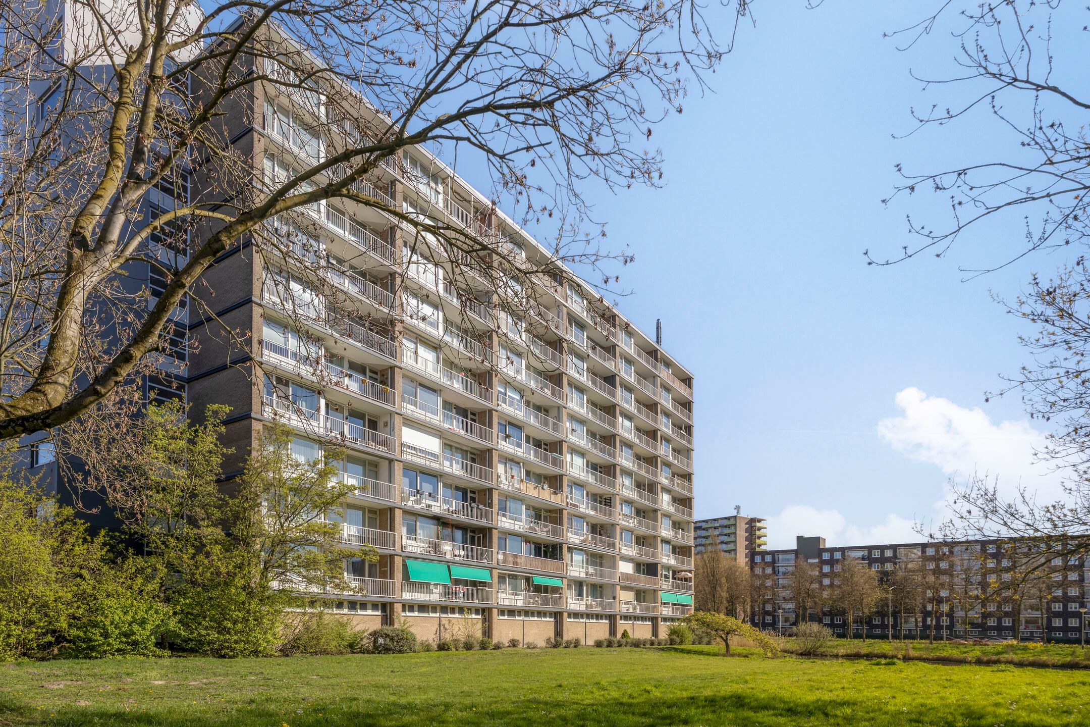 Foto 39 van Antwerpenstraat 444