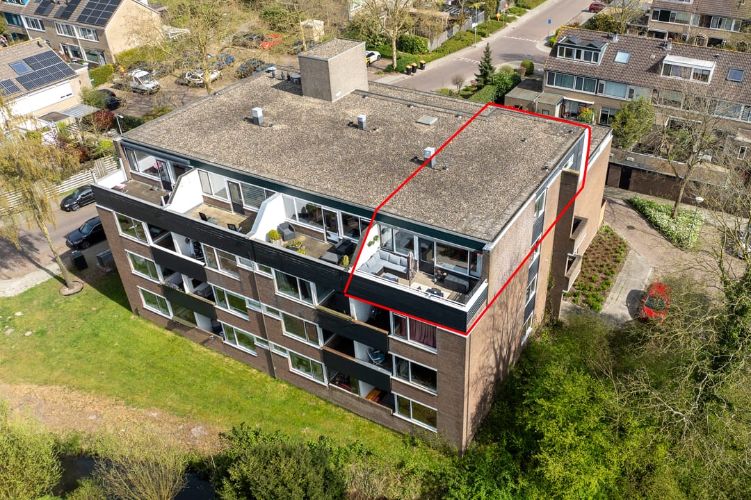 Foto 1 van Hondsdraf 73