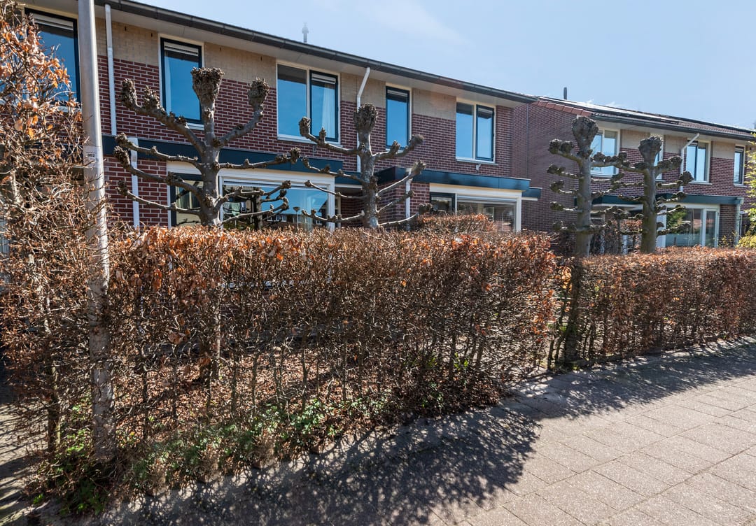 Foto 7 van Daan Brouwerlaan 11