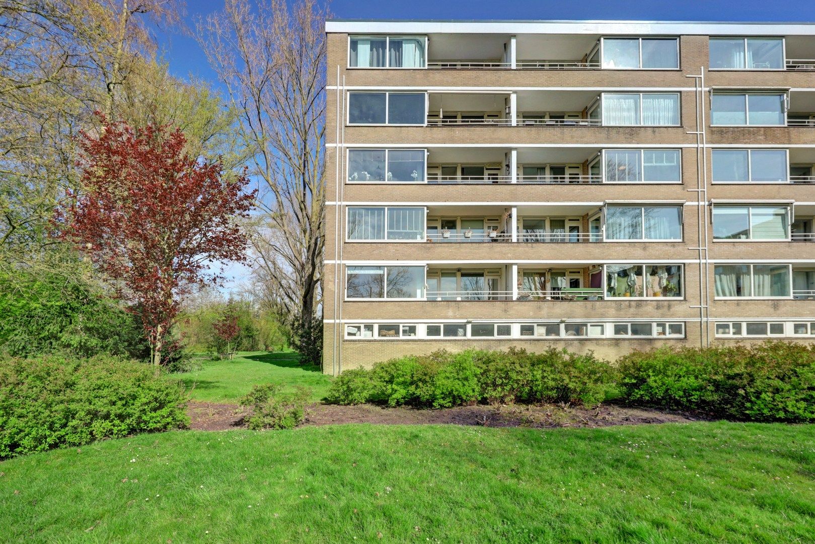 Van Bassenstraat 162 