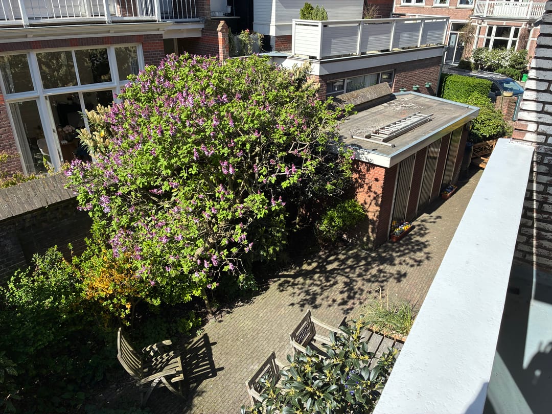 Foto 26 van Cornelis Jolstraat 2-B