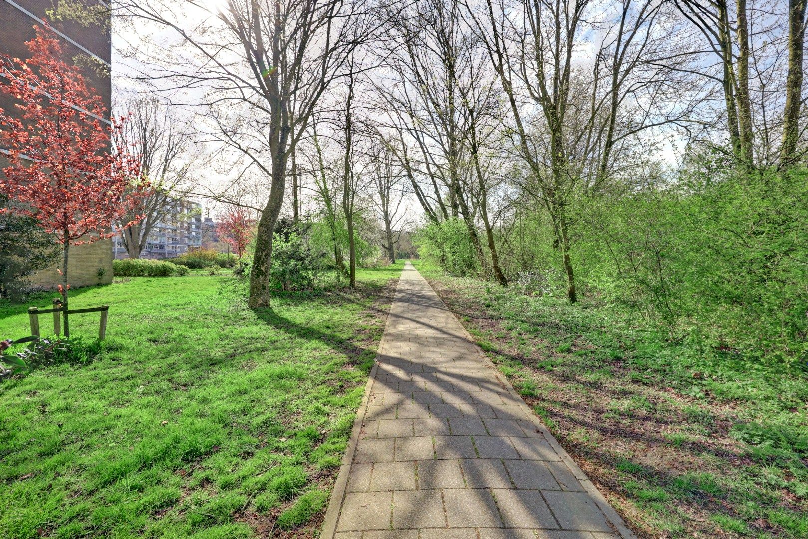 Foto 33 van Van Bassenstraat 162