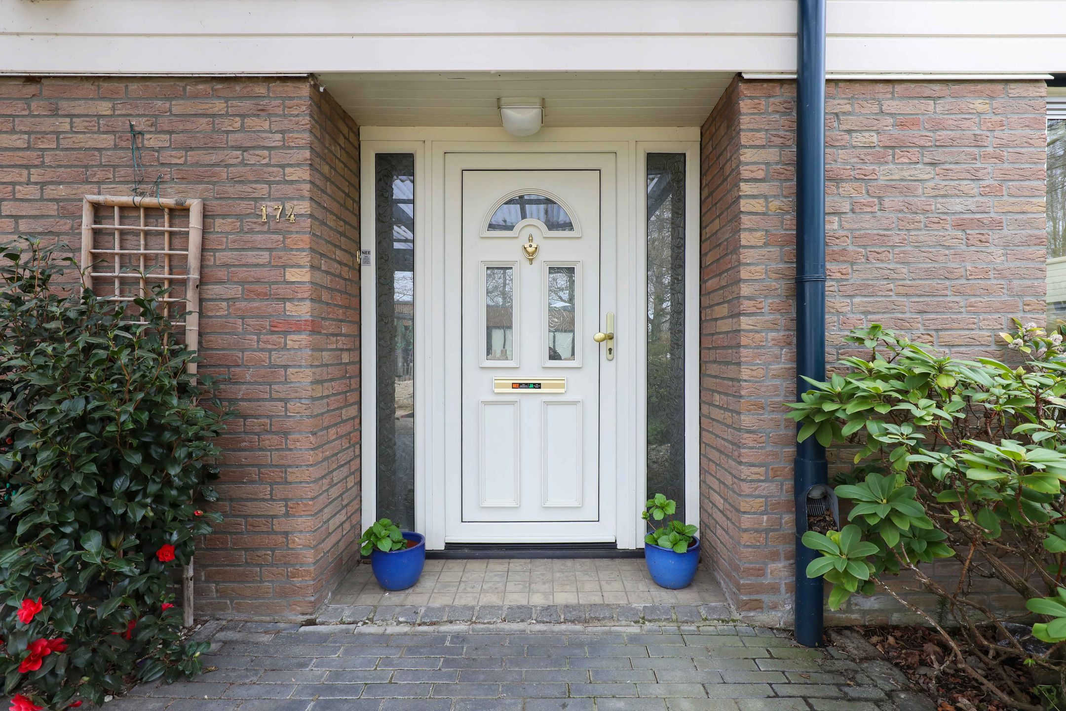 Photo 6 of Kolkrijst 174