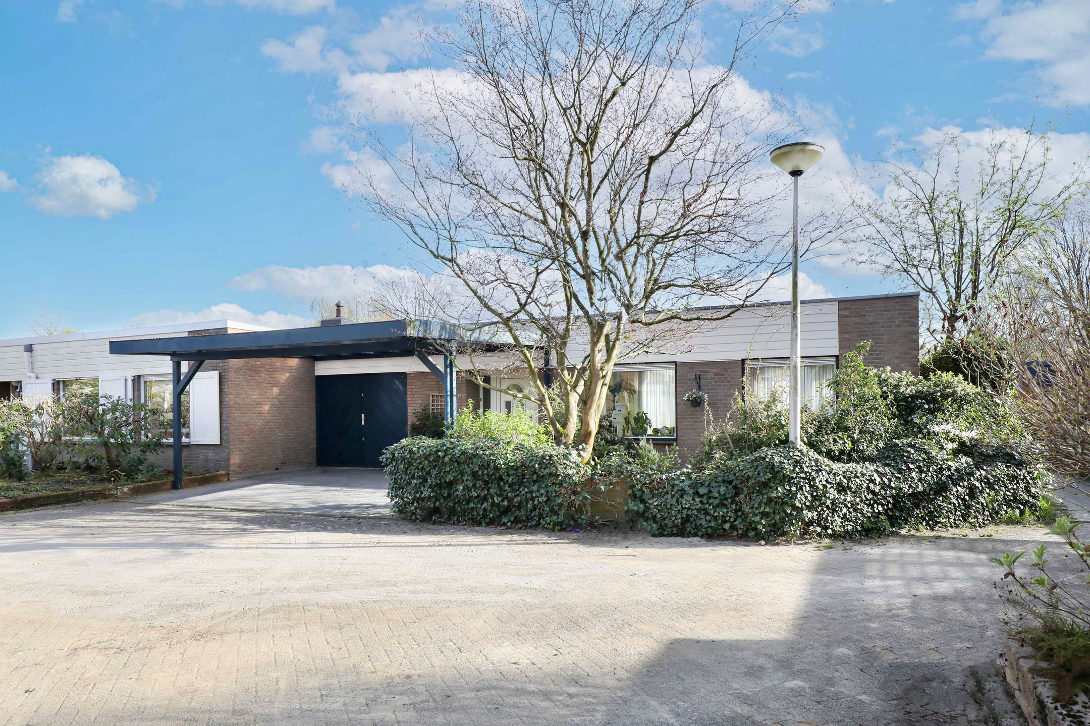 Photo 33 of Kolkrijst 174