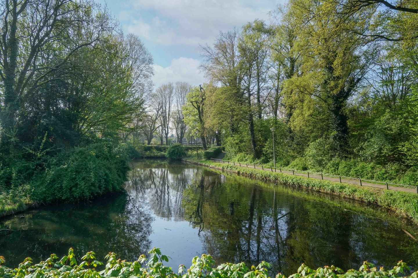 Photo 35 of Kolkrijst 174