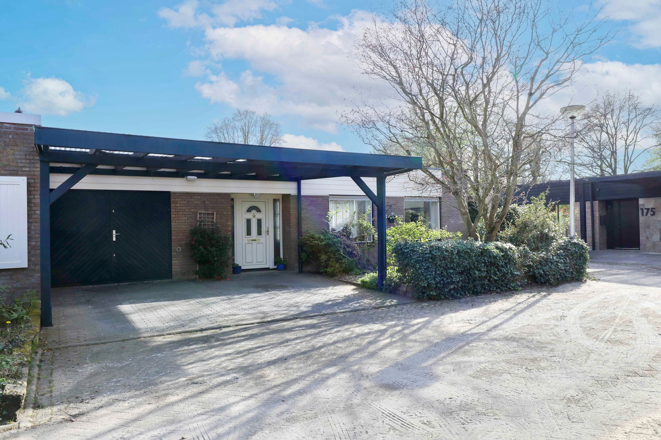 Photo 36 of Kolkrijst 174