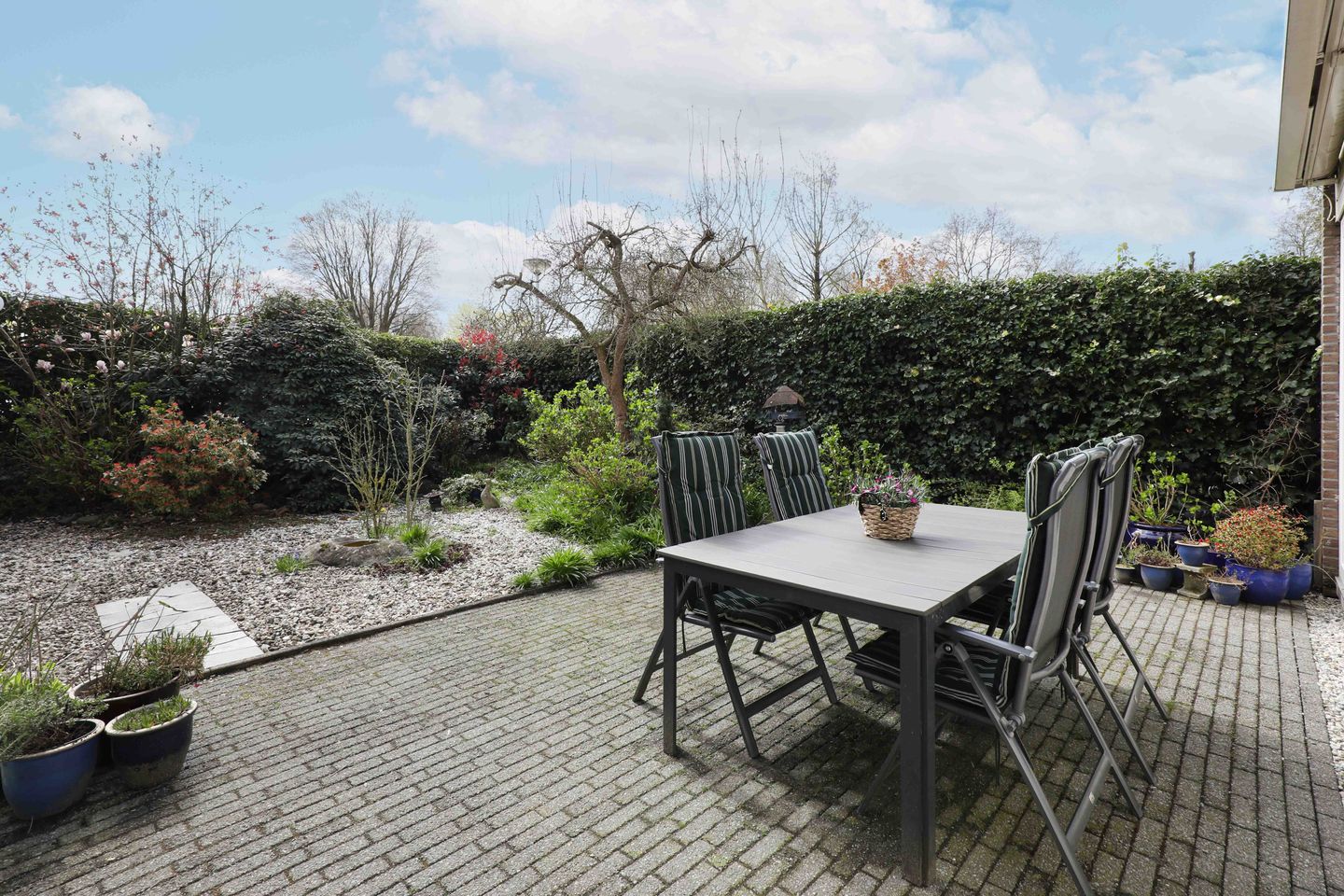 Photo 5 of Kolkrijst 174